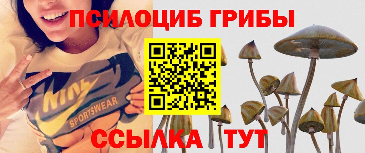 Большой Камень  Галлюциногенные грибы прущие грибы  Вход с VPN 